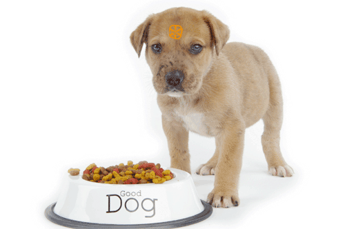 Dear Digium: It’s Time to Start Eating Your Own Dog Food